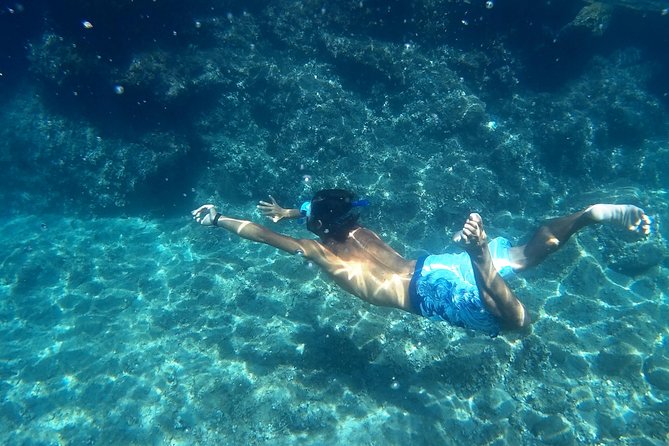 Amalfi Coast Kayak Tours from Marina del Cantone - Key points before you book