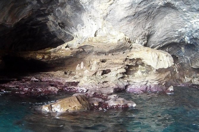 Amalfi Coast Kayak Tours from Marina del Cantone - Who should book this kayak trip?