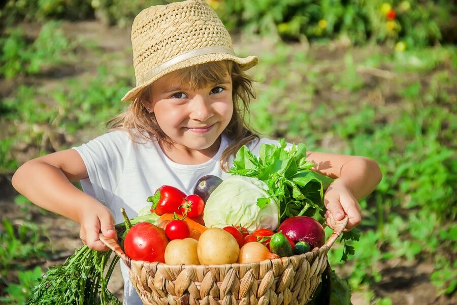 Amalfi: Cooking Class and Farmhouse Visit With Meal - Picking produce before you cook