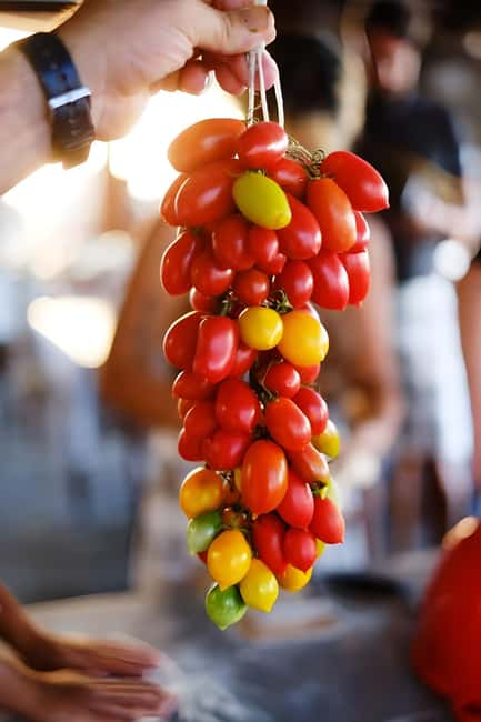 Amalfi: Milk the cows, Make Pasta, Mozzarella and Tiramisù! - Who should book this class?