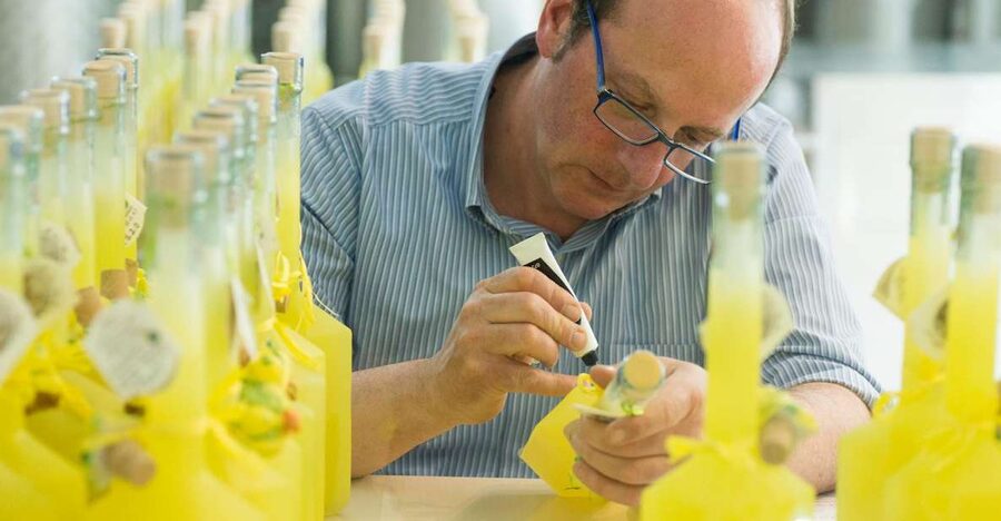 Amalfi: Vertical Lemon Farm Tour, Tastings, and Rural Museum - A family story grounded in farm work