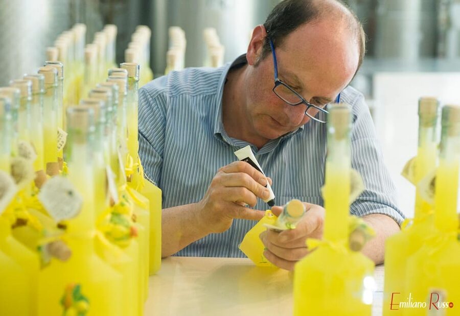 Amalfi: Vertical Lemon Farm Tour, Tastings, and Rural Museum - From lemon tree to limoncello laboratory