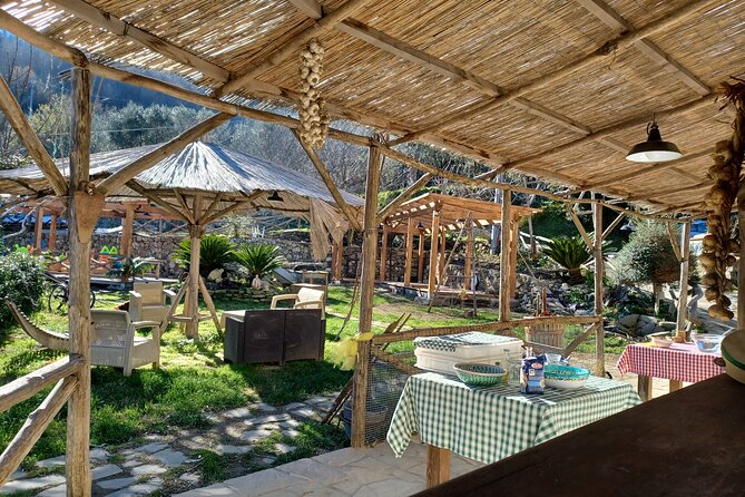 Authentic Farm Tour with Pizza, Cheese, Wine & Limoncello Tasting - From Sorrento to the hills above the Gulf