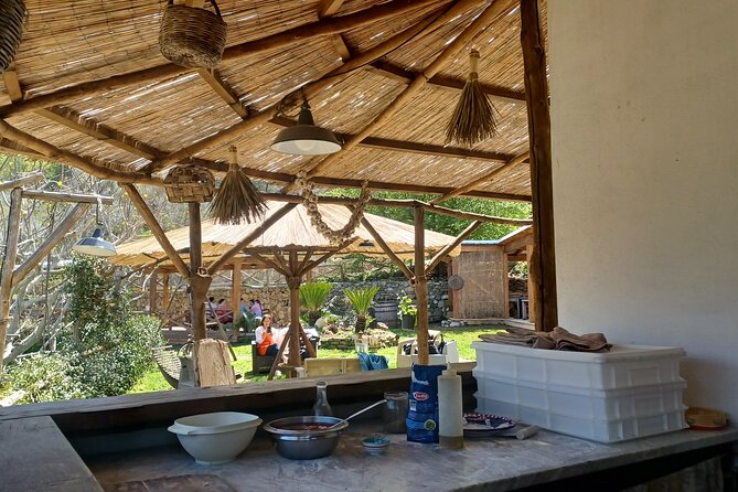 Authentic Farm Tour with Pizza, Cheese, Wine & Limoncello Tasting - Practical details before you go
