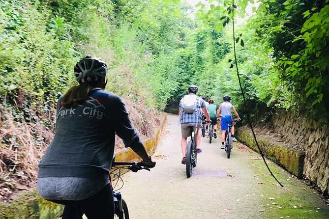 Backroads & Limoncello Experience: Sorrento E-Bike Tour - A family farm and a taste of local lemons
