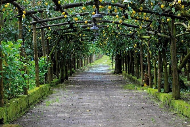 Backroads & Limoncello Experience: Sorrento E-Bike Tour - Who will enjoy this Sorrento ride