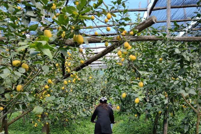 Backroads & Limoncello Experience: Sorrento E-Bike Tour - Should you book it?