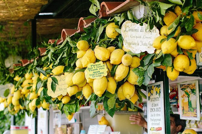 Capri Boat tour from Positano with Light Lunch, Drinks & Swim - Should you book the Capri boat tour?