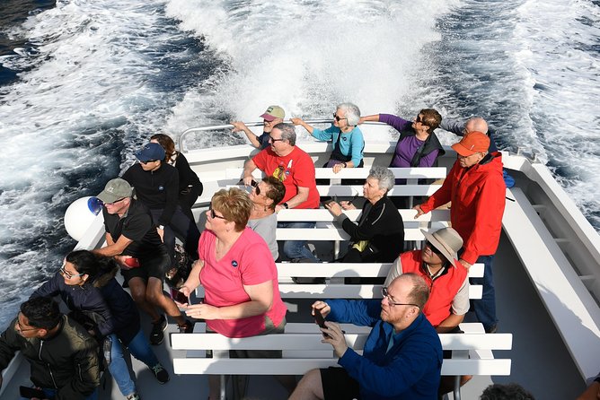 Capri Coast to Coast: Boat Tour with Optional Blue Grotto - What the fare includes, and what it does not