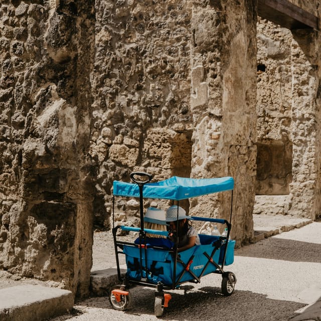 Discover Pompeii: French Walking Tour of the Buried City - Meeting near Hotel Vittoria