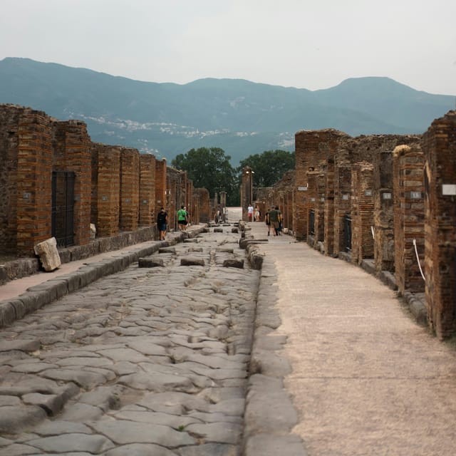 Discover Pompeii: French Walking Tour of the Buried City - Stay inside after the guided walk