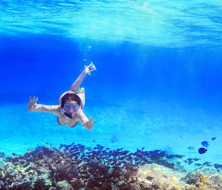 From Amalfi: Capri Island Boat Tour with Snorkeling & Drinks - Three hours to make Capri your own
