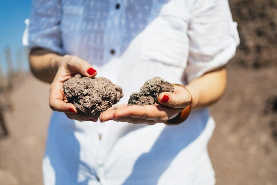 From Naples: All-Inclusive Mount Vesuvius Half-Day Tour - What $75 buys you