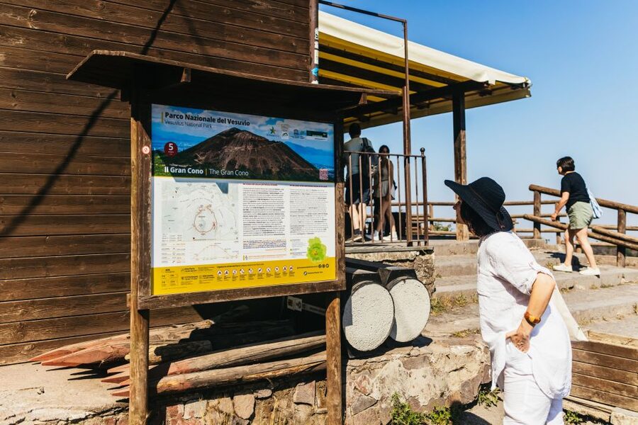From Naples: All-Inclusive Mount Vesuvius Half-Day Tour - Who should book this Vesuvius trip?