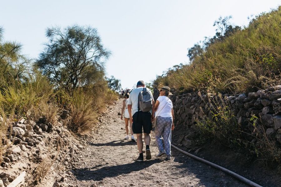 From Naples: All-Inclusive Mount Vesuvius Half-Day Tour - FAQ