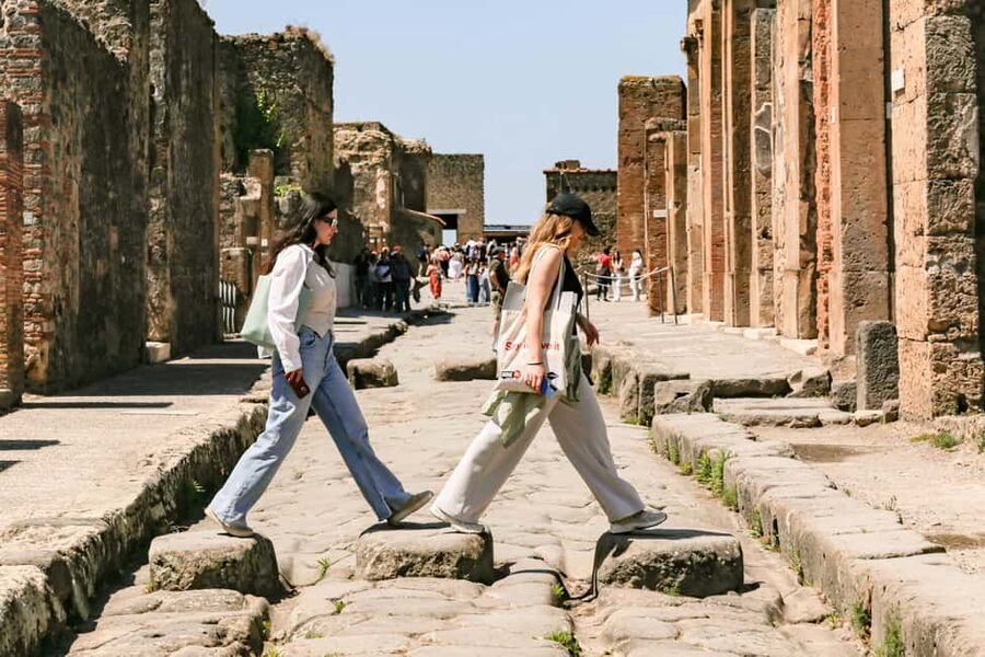 From Naples: Pompeii Skip-the-Line Guided Tour - Who should book this Pompeii tour?