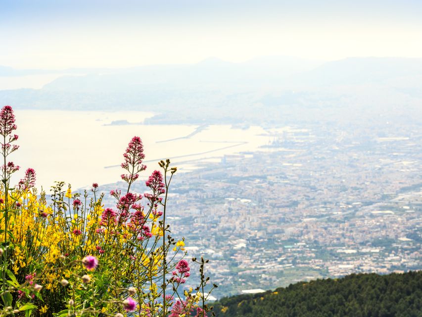 From Pompeii: Bus Transfer to Vesuvius with Park Entry Fee - From Pompeii to Vesuvius without the transport puzzle