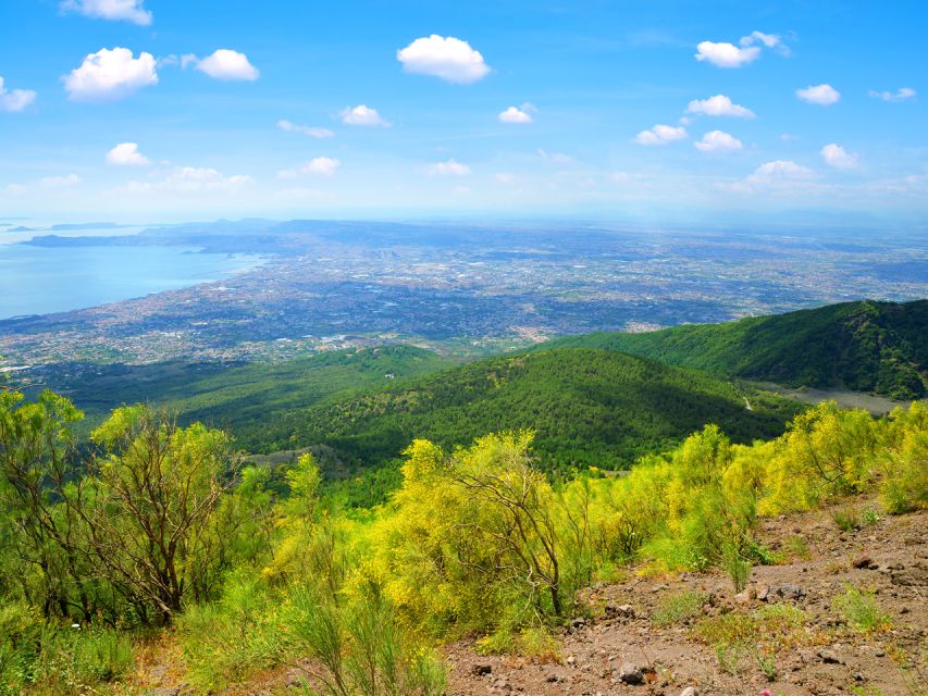 From Pompeii: Bus Transfer to Vesuvius with Park Entry Fee - How the three-hour schedule works