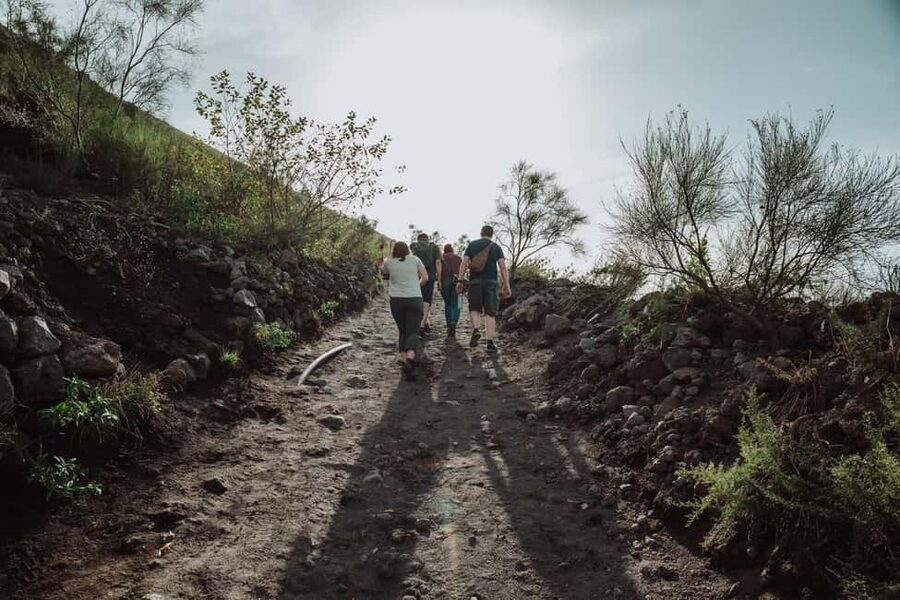 From Pompeii: Mount Vesuvius Guided Tour with Transfer - FAQ