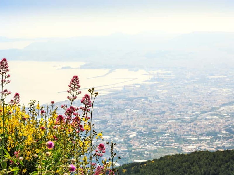 From Pompeii: Mt. Vesuvius Hike & Tour by Bus - Transport and guiding are not the same thing