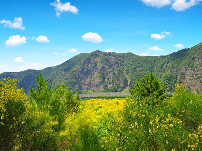 From Pompeii: Mt. Vesuvius Hike & Tour by Bus - Ninety minutes is a tight window