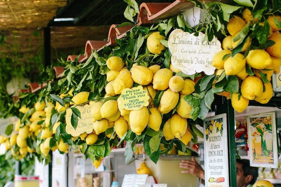 From Positano: Sorrento Coast & Capri Full-Day Trip by Boat - Is This Capri Boat Trip Worth Booking?