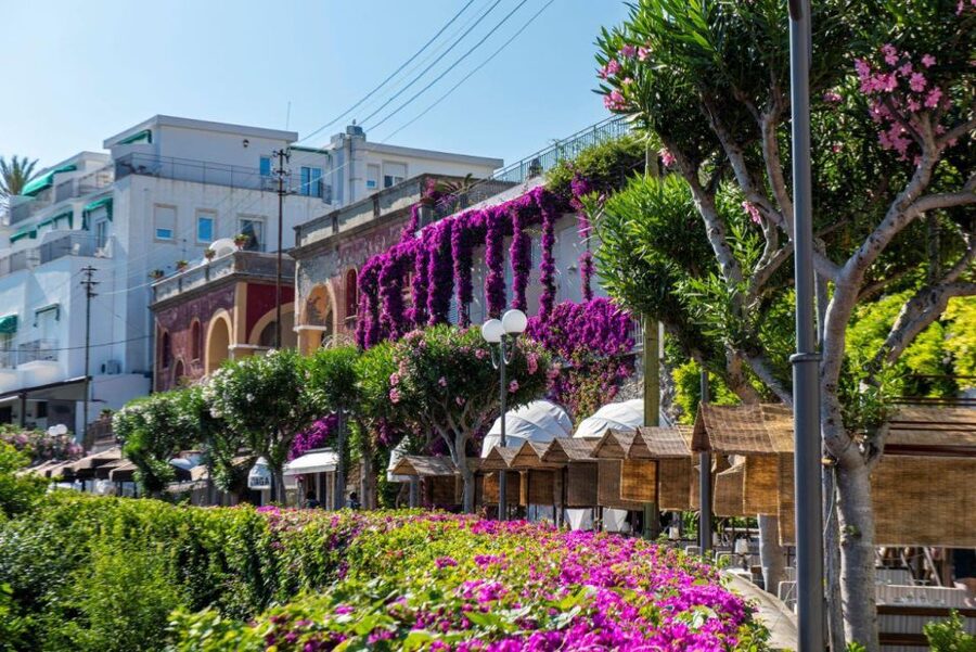 From Sorrento: Capri, Anacapri, & Blue Grotto Full-Day Trip - Capri town and the Piazzetta