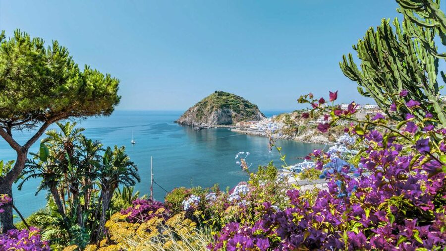 From Sorrento: Ischia and Procida Boat Tour - Procida’s colorful harbor and quieter pace