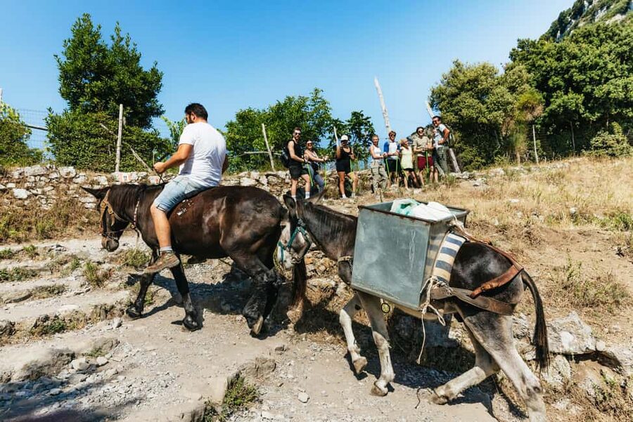 From Sorrento: Path of the Gods Guided Hike with Transfers - Know what the six-hour schedule includes