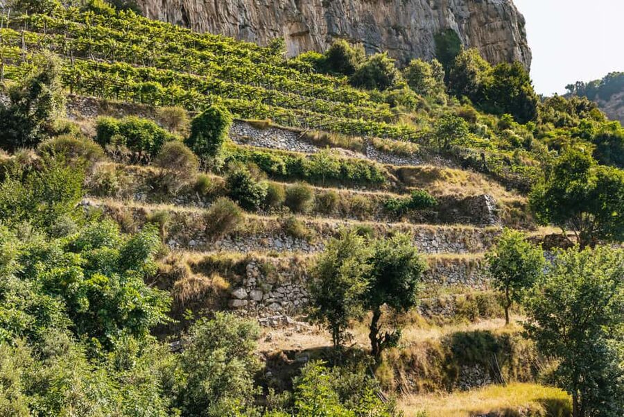 From Sorrento: Path of the Gods Guided Hike with Transfers - Who should take this hike?