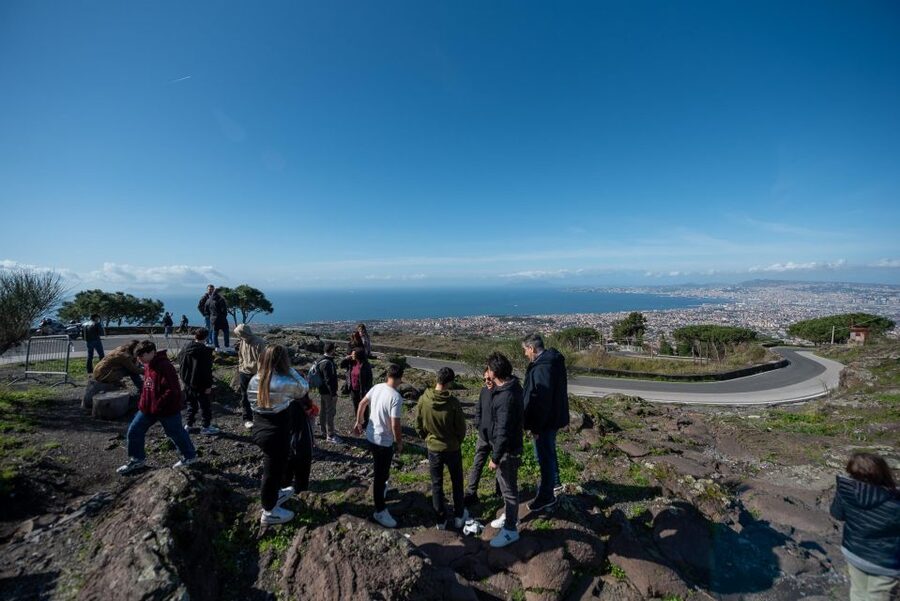 From Sorrento: Pompeii and Vesuvius Guided Tour with Lunch - Who will get the most from this trip