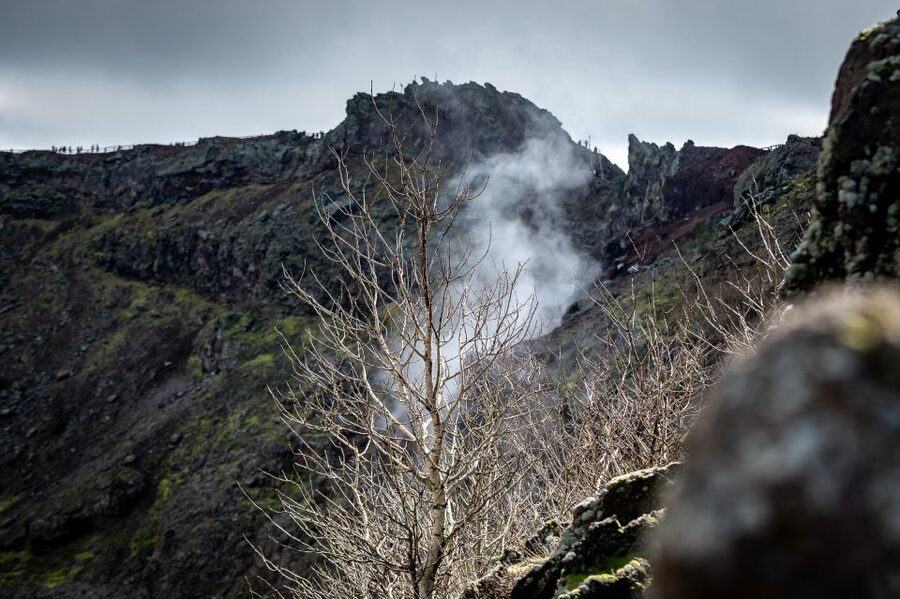 From Sorrento: Pompeii and Vesuvius Guided Tour with Lunch - Should you book it?