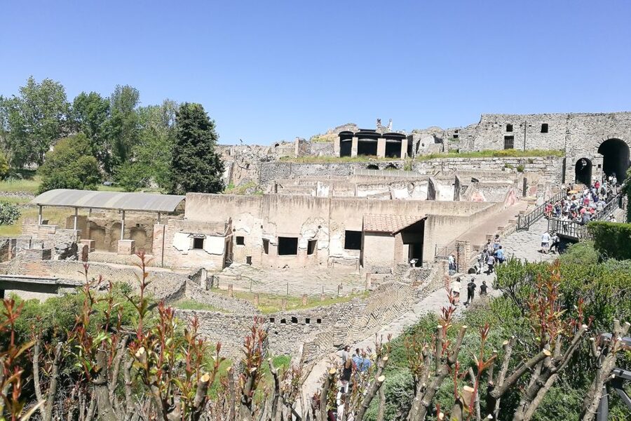 From Sorrento: Pompeii and Vesuvius Tour - What the $135.94 price covers