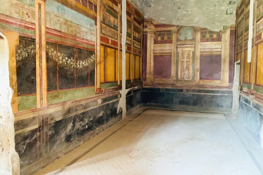 From Sorrento: Pompeii and Vesuvius Tour - Who will get the most from this outing