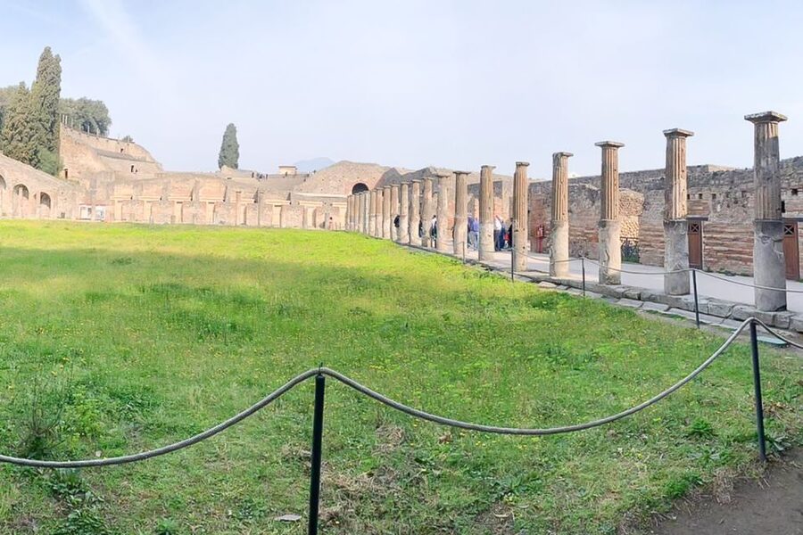 From Sorrento: Pompeii and Vesuvius Tour - FAQ