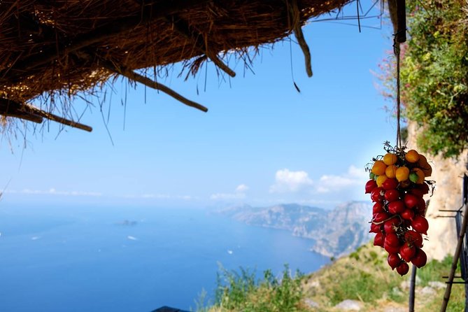 Guided Day Hike on the Path of the Gods with Sorrento Transfer - What to know before you go