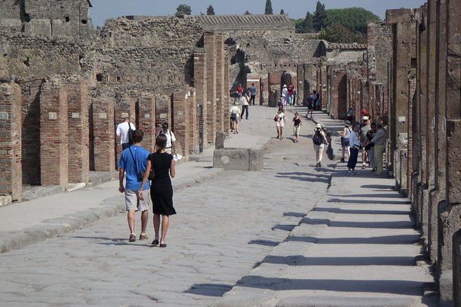 Guided Day Tour of Pompeii and Herculaneum with Light Lunch - Should you book this Pompeii and Herculaneum tour?