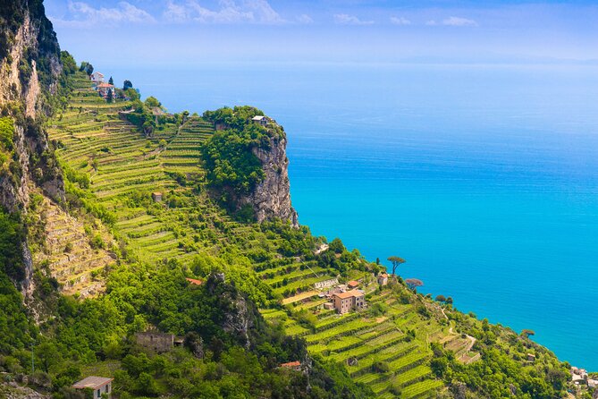 Hands-On Cooking Class & Farmhouse Tour on the Amalfi Coast - Picking herbs and vegetables for the kitchen