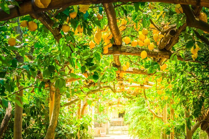 Hands-On Cooking Class & Farmhouse Tour on the Amalfi Coast - Who will enjoy this Amalfi cooking class?