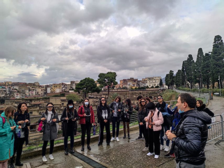 Herculaneum: 3D Walking Tour with Skip-the-Line Ticket - Is $45.55 good value?