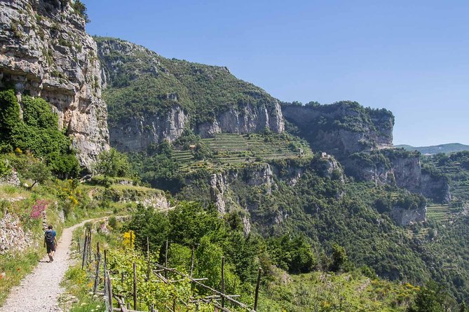 Hiking the Path of the Gods with Enzo: Amalfi Coast Adventure - What the $83.45 price covers