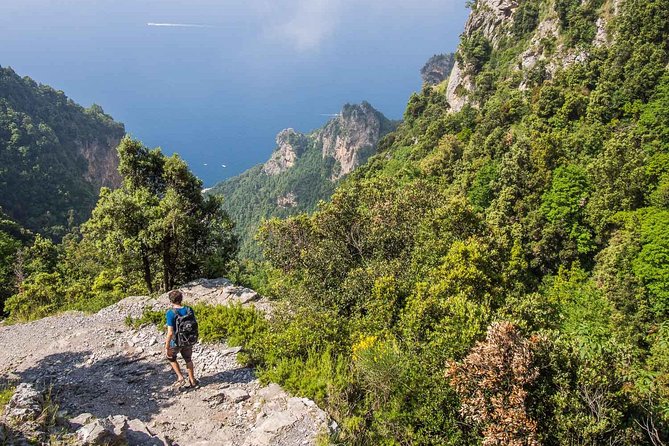 Hiking the Path of the Gods with Enzo: Amalfi Coast Adventure - Timing, weather, and booking choices