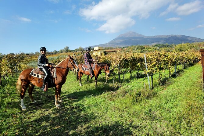 Horseback Riding on Vesuvius - A vineyard ride beneath Vesuvius