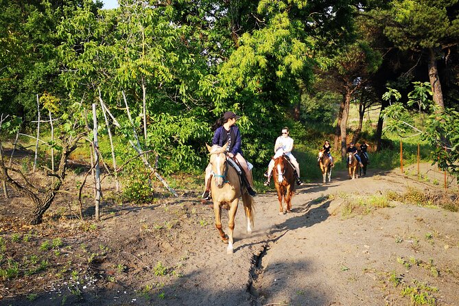 Horseback Riding on Vesuvius - Should you book the Vesuvius horseback ride?