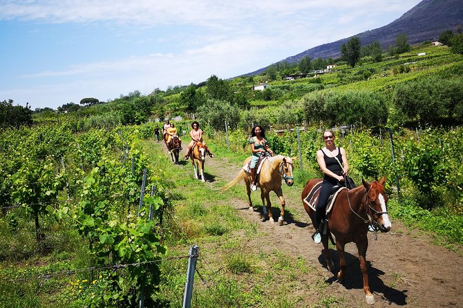 Horseback Riding on Vesuvius - From Pompeii meeting point to the trail