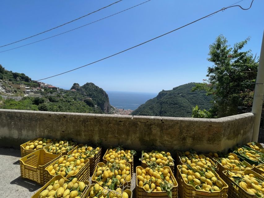 Maiori: Amalfi Coast Path of Lemons Day Trip with Tastings - Is $59 good value?