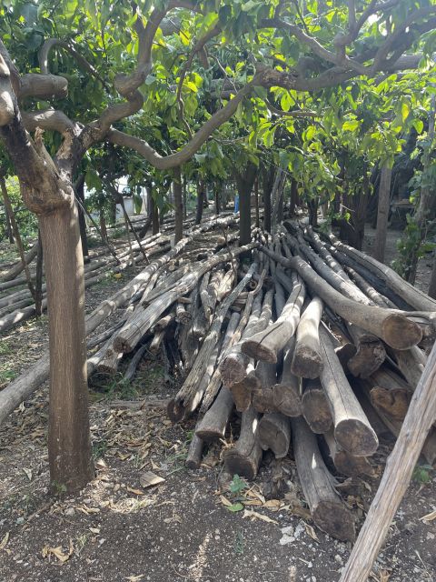 Maiori: Amalfi Coast Path of Lemons Day Trip with Tastings - FAQ