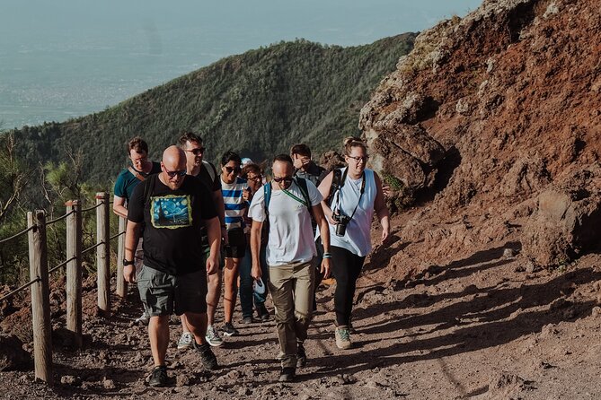 Mount Vesuvius Tour from Pompeii Led by an Expert Guide - The guide can make the hike feel like a lesson, not a slog