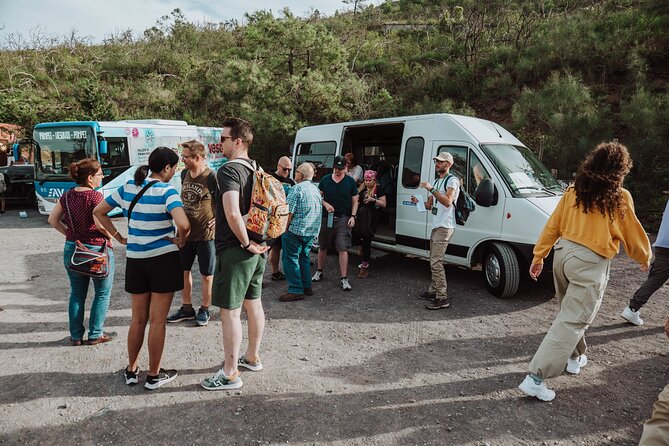 Mount Vesuvius Tour from Pompeii Led by an Expert Guide - What the price buys, and who should book