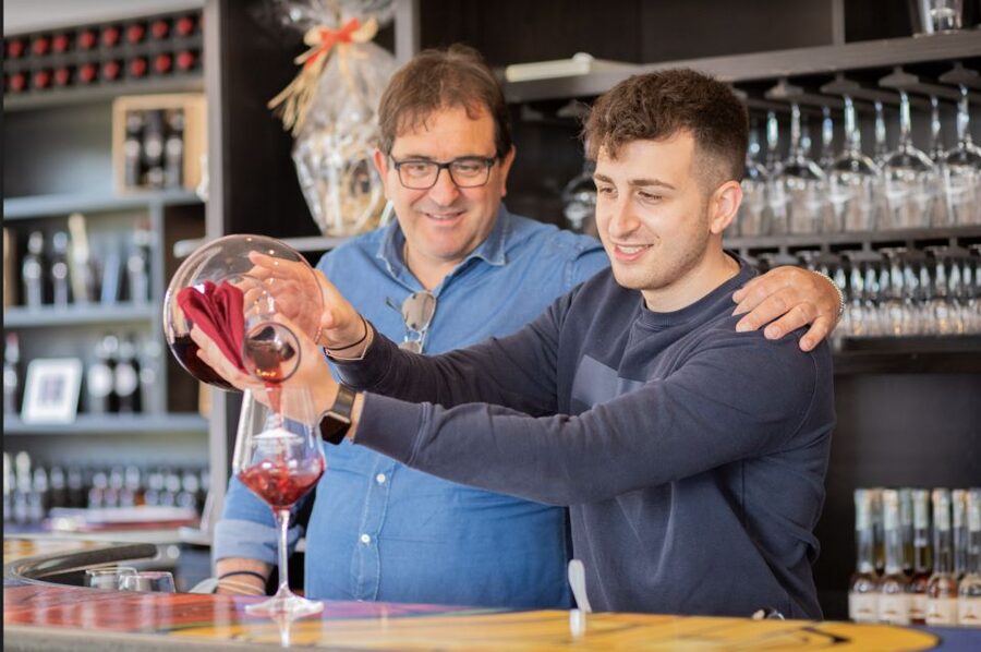 Mount Vesuvius: Vineyard Tour with Wine Tasting and Lunch - Walking the vines and seeing how the wine is made